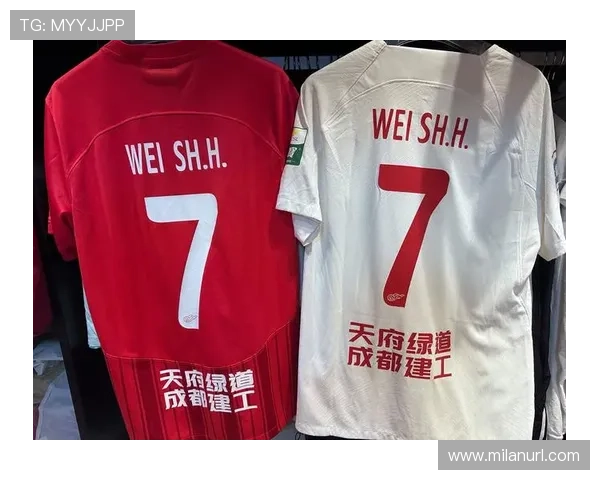 探索AC米兰官网旗舰店丰富的足球装备，满足不同球迷的个性化需求