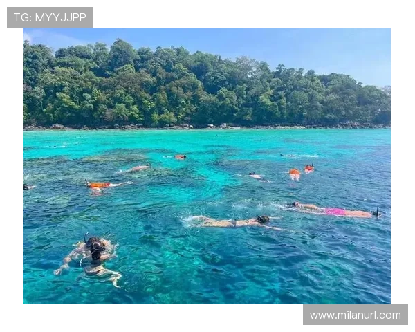 斯米兰跟团游：专业导游带你深入了解斯米兰群岛的生态与文化魅力