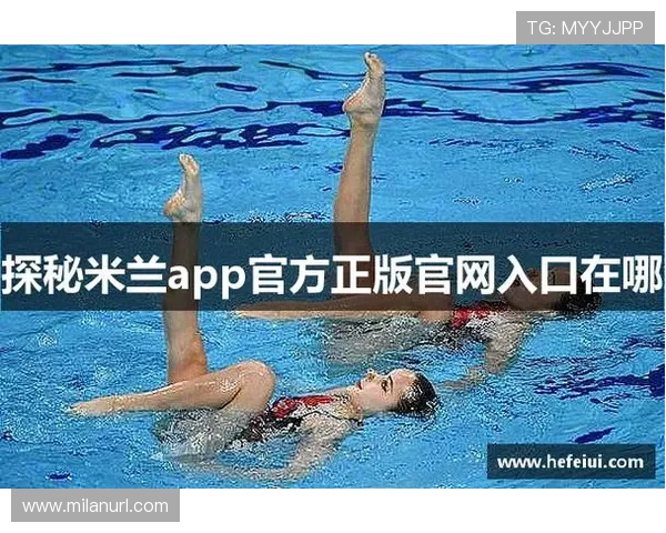 米兰官网官网入口的功能介绍与使用方法